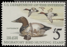 Picture of RW42 1975 Duck Stamp  MNH F-VF