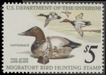 Picture of RW42 1975 Duck Stamp  MNH F-VF