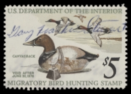 Picture of RW42 1975 Duck Stamp  Used F-VF