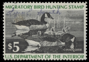 Picture of RW43 1976 Duck Stamp  Used F-VF