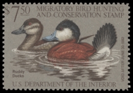 Picture of RW48 1981 Duck Stamp  Unsigned F-VF