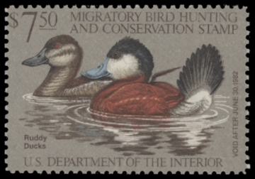 Picture of RW48 1981 Duck Stamp  Unsigned F-VF