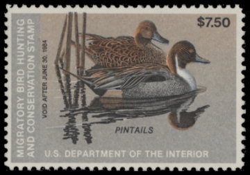 Picture of RW50 1983 Duck Stamp  Unsigned F-VF