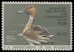 Picture of RW53 1986 Duck Stamp  MNH F-VF