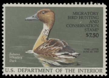 Picture of RW53 1986 Duck Stamp  Unsigned F-VF