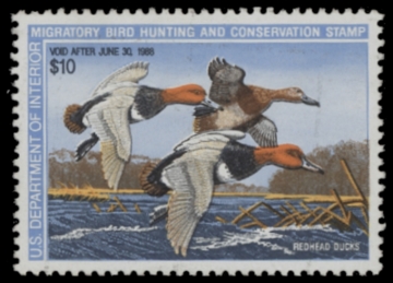 Picture of RW54 1987 Duck Stamp  Unsigned F-VF