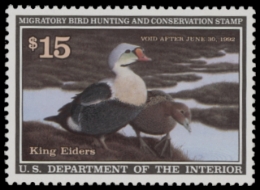 Picture of RW58 1991 Duck Stamp  MNH F-VF