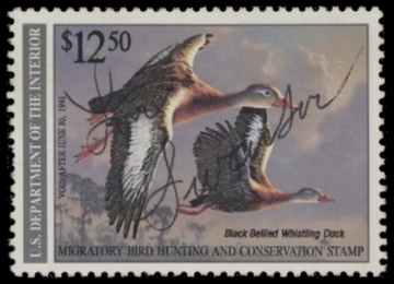 Picture of RW57 1990 Duck Stamp  Used F-VF