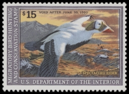 Picture of RW59 1992 Duck Stamp  MNH F-VF