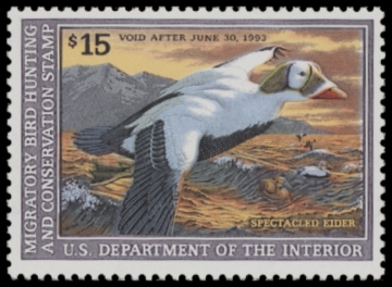 Picture of RW59 1992 Duck Stamp  MNH F-VF