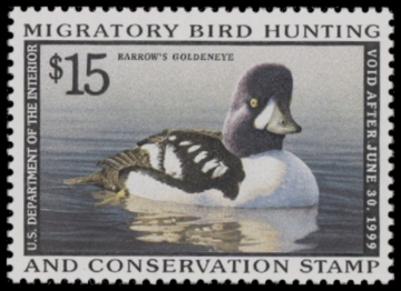 Picture of RW65 1998 Duck Stamp  MNH F-VF