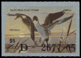 Picture of 1980 California Duck Stamp MNH VF