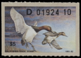 Picture of 1981 California Duck Stamp MNH VF