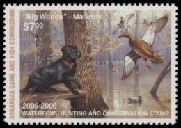 Picture of 2005 Arkansas Duck Stamp MNH VF