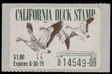 Picture of 1974 California Duck Stamp MNH VF