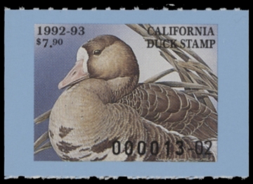 Picture of 1992 California Duck Stamp MNH VF