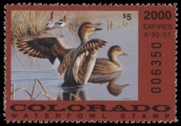Picture of 2000 Colorado Duck Stamp MNH VF