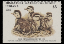 Picture of 1980 Indiana Duck Stamp MNH VF