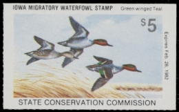 Picture of 1981 Iowa Duck Stamp MNH VF