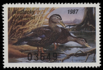 Picture of 1987 Kentucky Duck Stamp MNH VF