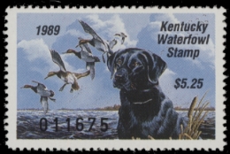 Picture of 1989 Kentucky Duck Stamp MNH VF