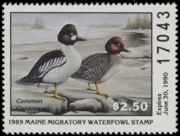 Picture of 1989 Maine Duck Stamp MNH VF