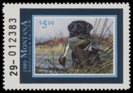 Picture of 1989 Montana Duck Stamp MNH VF