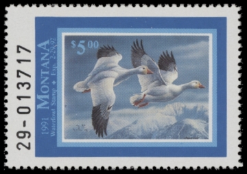 Picture of 1991 Montana Duck Stamp MNH VF