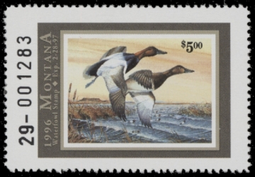 Picture of 1996 Montana Duck Stamp MNH VF