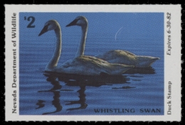 Picture of 1981 Nevada Duck Stamp MNH VF