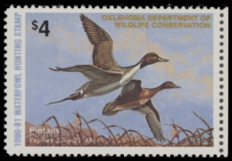 Picture of 1980 Oklahoma Duck Stamp - First of State MNH VF