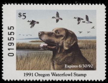 Picture of 1991 Oregon Duck Stamp MNH VF