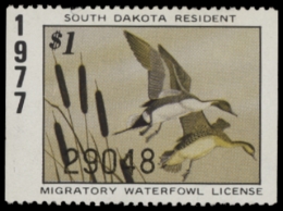 Picture of 1977 South Dakota Duck Stamp MNH VF