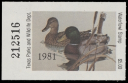 Picture of 1981 Texas Duck Stamp - First of State MNH VF