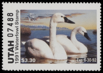 Picture of 1991 Utah Duck Stamp MNH VF