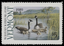 Picture of 1989 Vermont Duck Stamp MNH VF