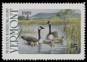 Picture of 1989 Vermont Duck Stamp MNH VF