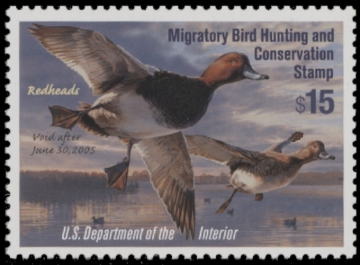Picture of RW71 2004 Duck Stamp  MNH F-VF