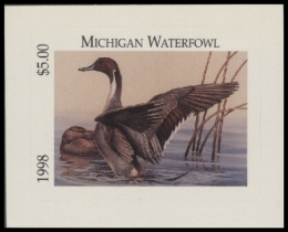 Picture of 1998 Michigan Duck Stamp MNH VF