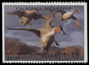 Picture of 1997 California Duck Stamp MNH VF