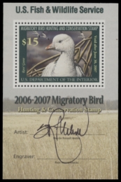 Picture of RW73B 2006 Duck Stamp  MNH F-VF