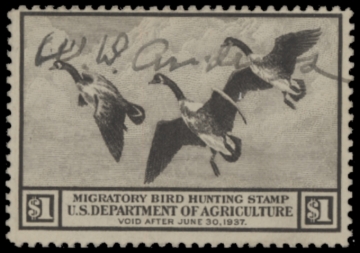 Picture of RW3 1936 Duck Stamp  Used F-VF
