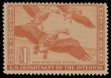 Picture of RW11 1944 Duck Stamp  MLH F-VF