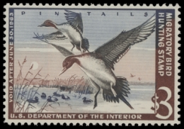 Picture of RW29 1962 Duck Stamp  MNH F-VF