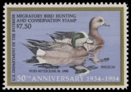 Picture of RW51 1984 Duck Stamp  MNH F-VF