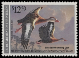 Picture of RW57 1990 Duck Stamp  MNH F-VF