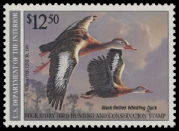 Picture of RW57 1990 Duck Stamp  MNH F-VF