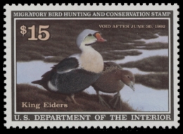 Picture of RW58 1991 Duck Stamp  MNH F-VF
