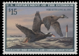 Picture of RW63 1996 Duck Stamp  MNH F-VF