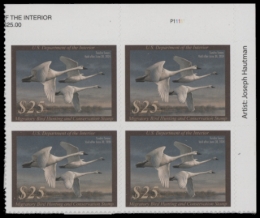 Picture of RW90 2023 Duck Stamp  MNH VF